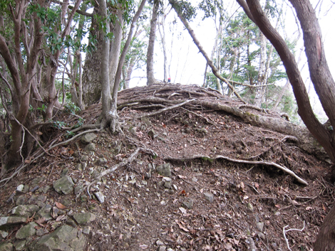 20200204hike (239)
